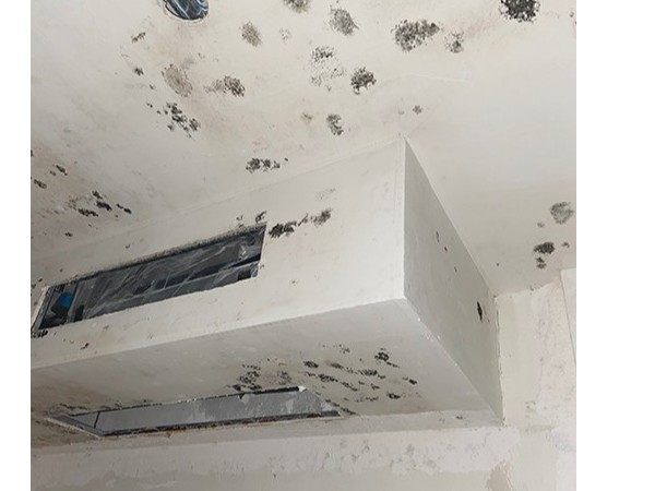 【案例分享】高端別墅地下室潮濕發(fā)霉的新型解決方案