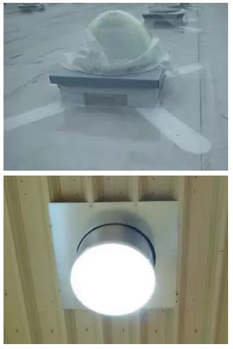 寵物食品商店需要什么樣的光源？