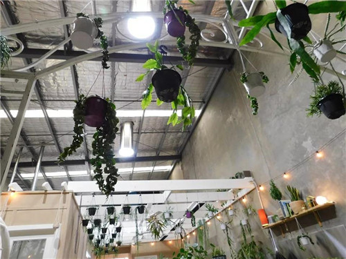 導(dǎo)光管對(duì)植物的影響