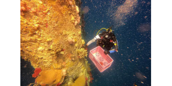 索樂圖自然光照明系統——減少碳排放，不再為垃圾分類煩惱！